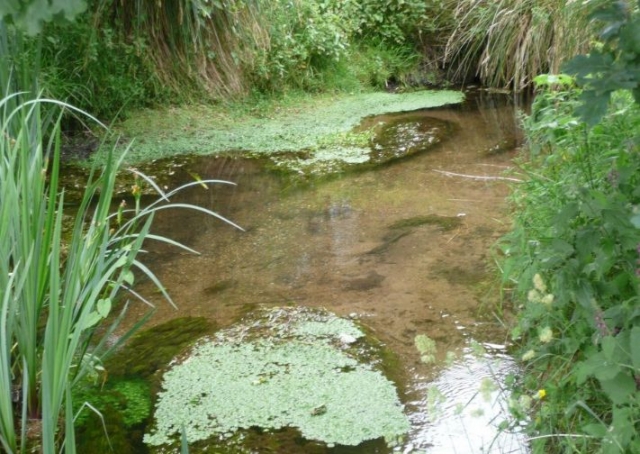 Parc en pleine nature dans le Finistere